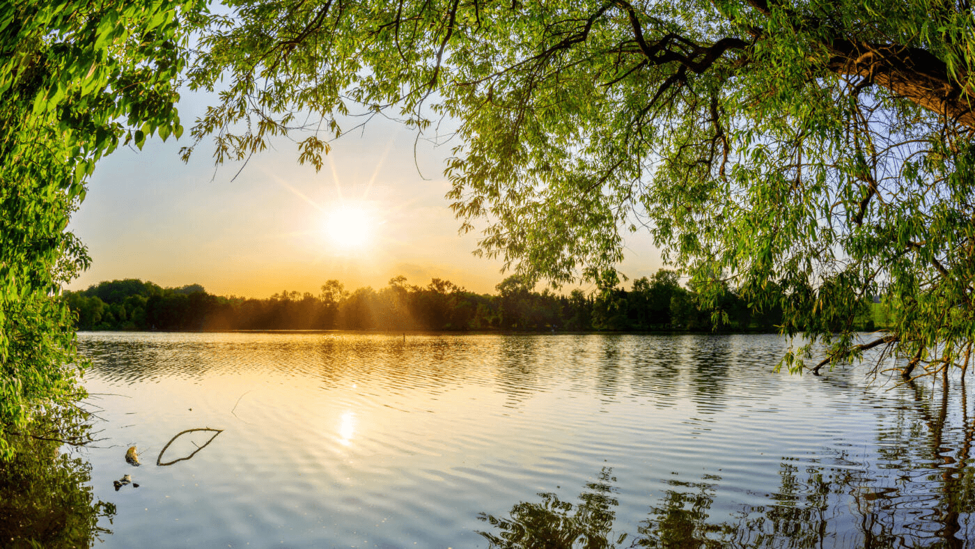 Reinigungsmittel Camping biologisch am malerischen See bei Sonnenuntergang mit grünem Ufer.